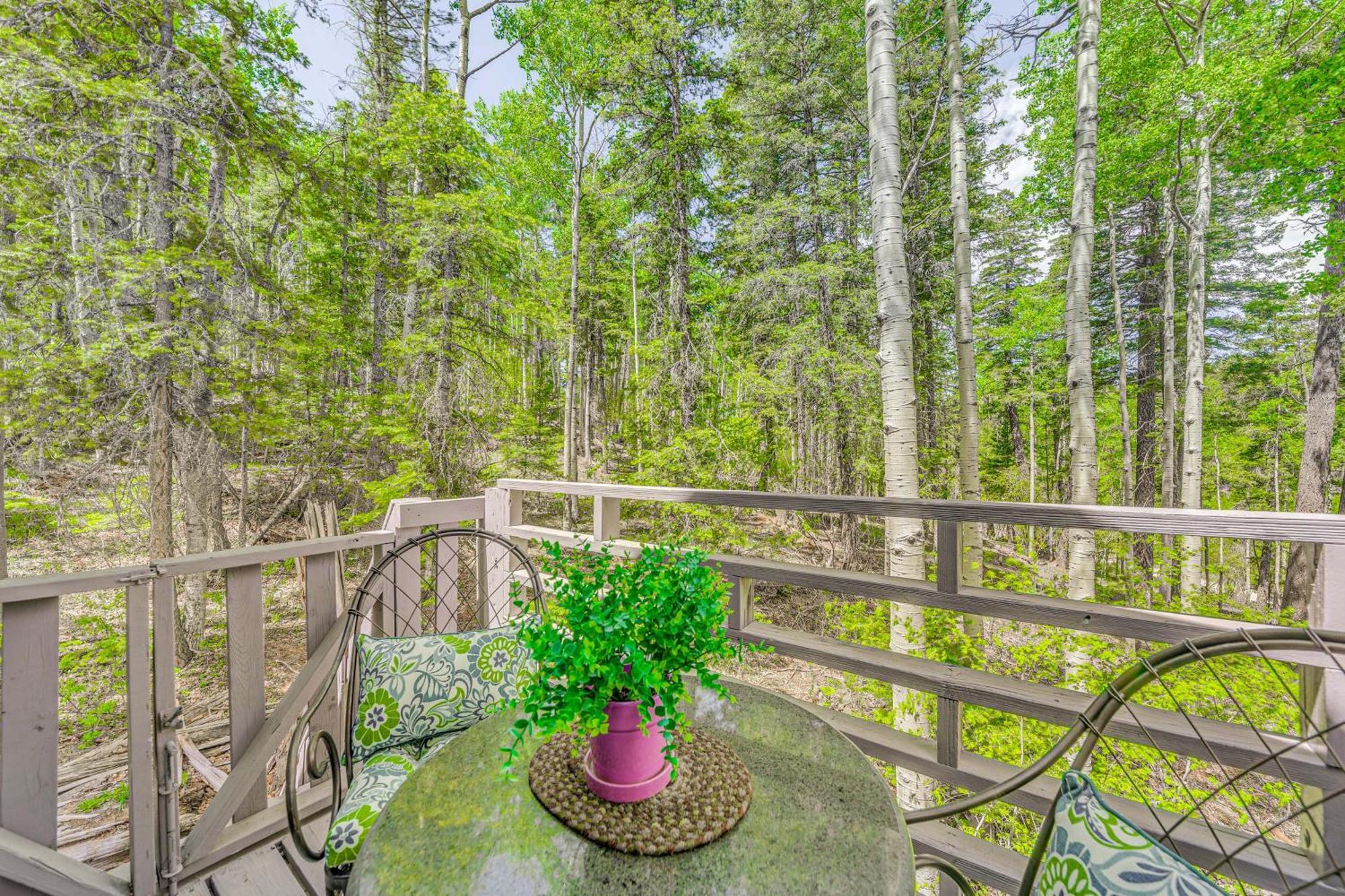 Quaint Cloudcroft Cabin With Stunning Forest Views! 외부 사진